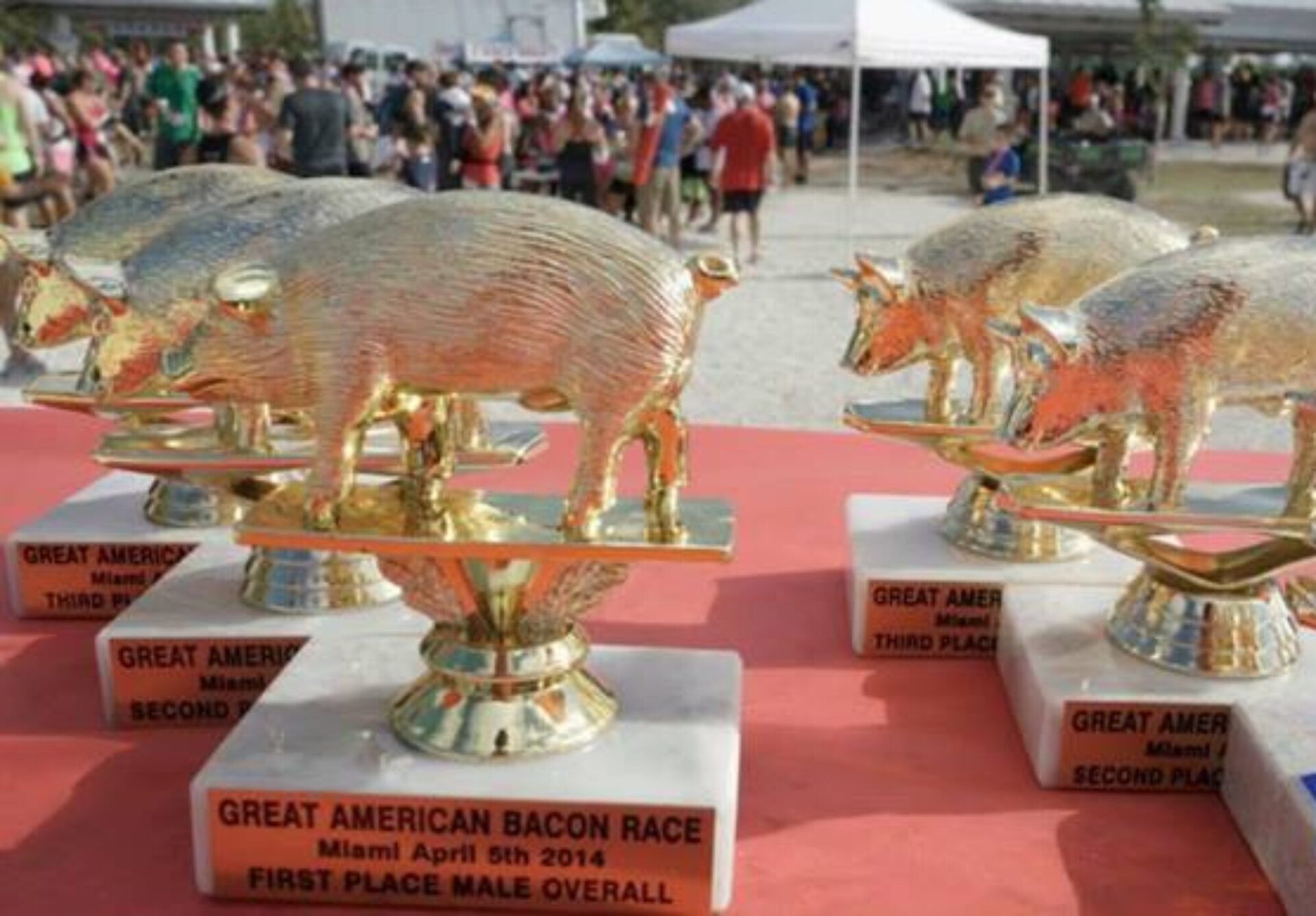 Bacon Trophy